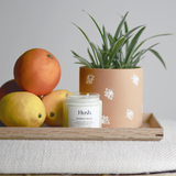 Peppermint Orange Essential Oil Candle